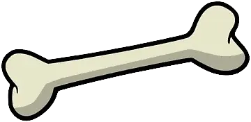 Bone